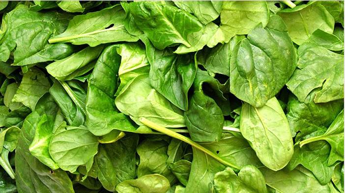 Serin havalara hazır mısınız? İşte bu besinler direncinizi artıracak 3